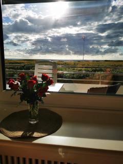 Sylt-Traumblick-Duenenhof-Zum-Kronprinzen-App-29 - 6