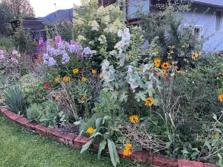 Apartment Schlager Maria - 2