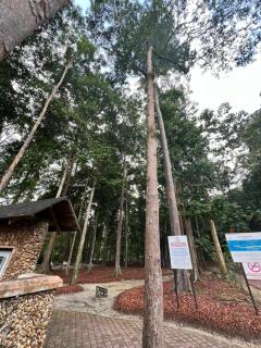 Cozy Tiny House By hnnacakery Near Hiking Trail Nibong Tebal - 3