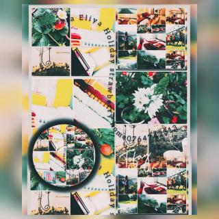 Nuwara Eliya Holiday strawberry home - 7