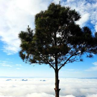 Tà Xùa nhà của Đậu - 5