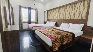 Hotel Krishna Palace - 3