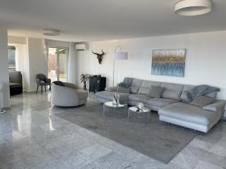 Monaco with grand terrace and breathtaking view - 9