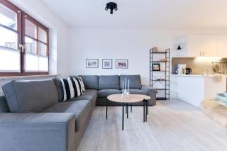 Ostseegarten Forsythie - 0