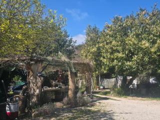 Ancient Norba's House - Casa dell' Antica Norba - 4