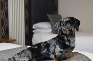 Royal Sportsman Hotel - 1