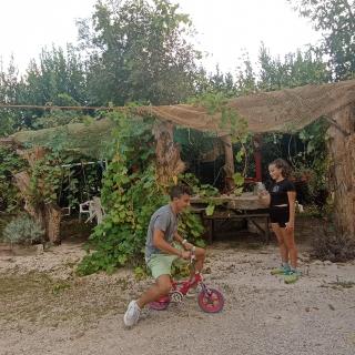 ANCENT NORBA S HOUSE casa dell' Antica Norba big hause - 2