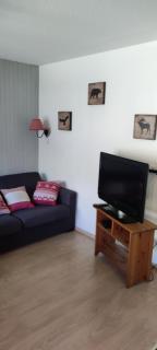 Bel appartement Résidence Hameau du Parc Saint Lary Vignec - 9