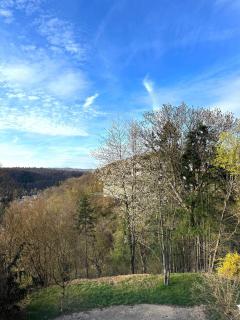 Zum Lahnfelsen Gräveneck - 5