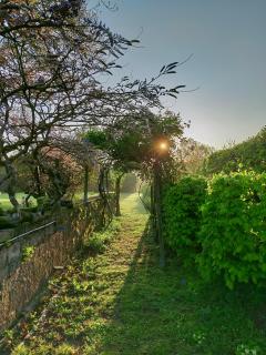 le moulin à lin - 7
