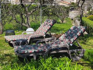 Palma Guesthouse - 4