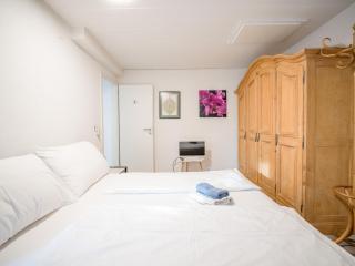 Zurich Rooms near Oerlikon and Airport - 1