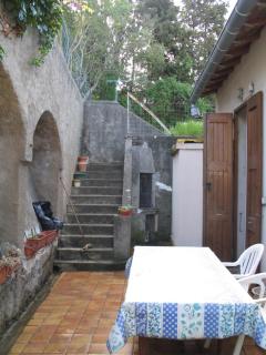 Le figuier - 3