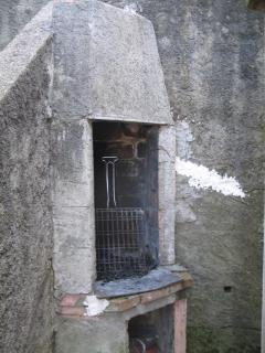 Le figuier - 4