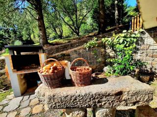 Gite avec Vue Panoramique - 7