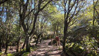 Rifugio Ortobene - Nuoro - 9