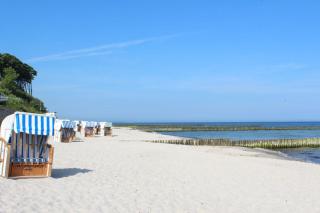 Fewo Uferschwalbe - 4
