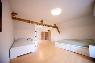 5-bedroom house with garden - Lille - 2