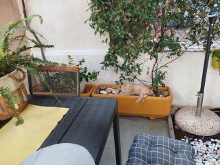 Apartment Issa -1min from the beach,free parking - 2