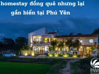 PAMY Homestay Phú Yên - 8