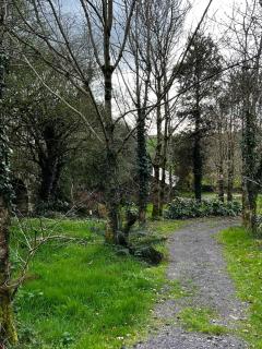 Little Cabin in the Woods - 3