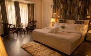 The Kasauli Villa - 8