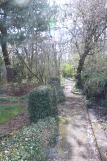 Retraitehuisje Westerwolde - 7