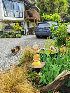 Escape to Tranquility in Rotoruas Heart - 9