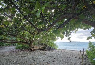 Les logis du Belvédère de l'AUTRE-BORD - 2