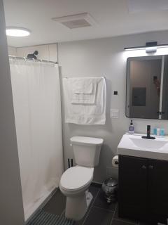 Exclusive Deluxe Queen Suite Luxury Boutique Building Downtown Hartford FREE PARKING - 3