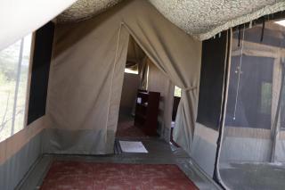 Ntito masai mara safaris - 9