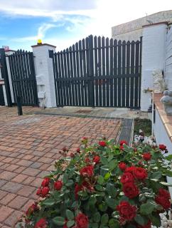 Holidays at the Dock - Fiumicino Airport - 6