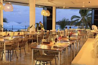 Trogon's Perch - San Isidro - 1