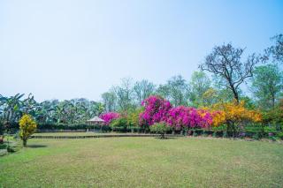 Hansqua Bungalow - 6