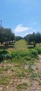 View West Elafonisi house - 8