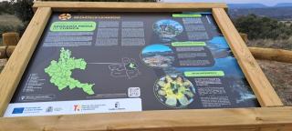 Apartamentos Serrano - 8