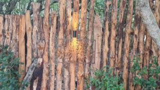 Singbos, Forest Cabin in Kleinbaai - 1
