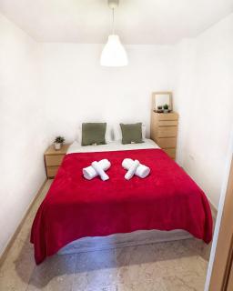 Quiet 1BR Terrace Apartment Near Centro & Beach - 4