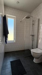 Great house in lush surroundings - 7