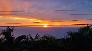 Petit jardin suspendu - 2