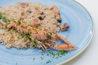 Club del Sole Romagna Family Resort - 2