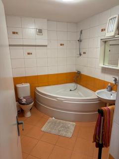 Dogfriendly byt s rychlou dostupností do MB a XXL parkingem - 7