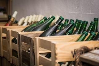 Villa, Wein und Garten - 3