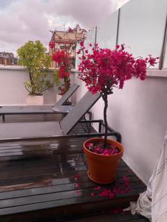Newly Renovated Spacious Penthouse with Terrace - Barcelona - 1