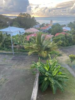 Évasion Tropicale à Tartane - Tartane - 8