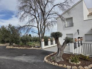 Casa Rural Huerta Real - 4