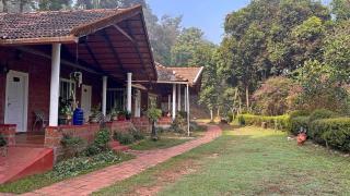 The Leaf N Lantern - 0