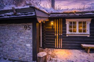 Cozy, modern log cabin - 7