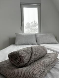 Zlatni Breg Divcibare - 5