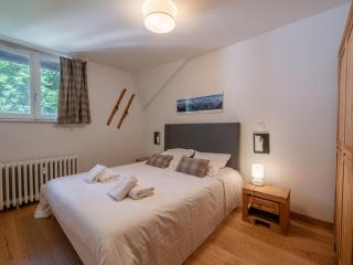 Appartement 3P Chamonix, Proche Pistes, Animaux Bienvenus, Parking, WiFi - FR-1-343-257 - 1